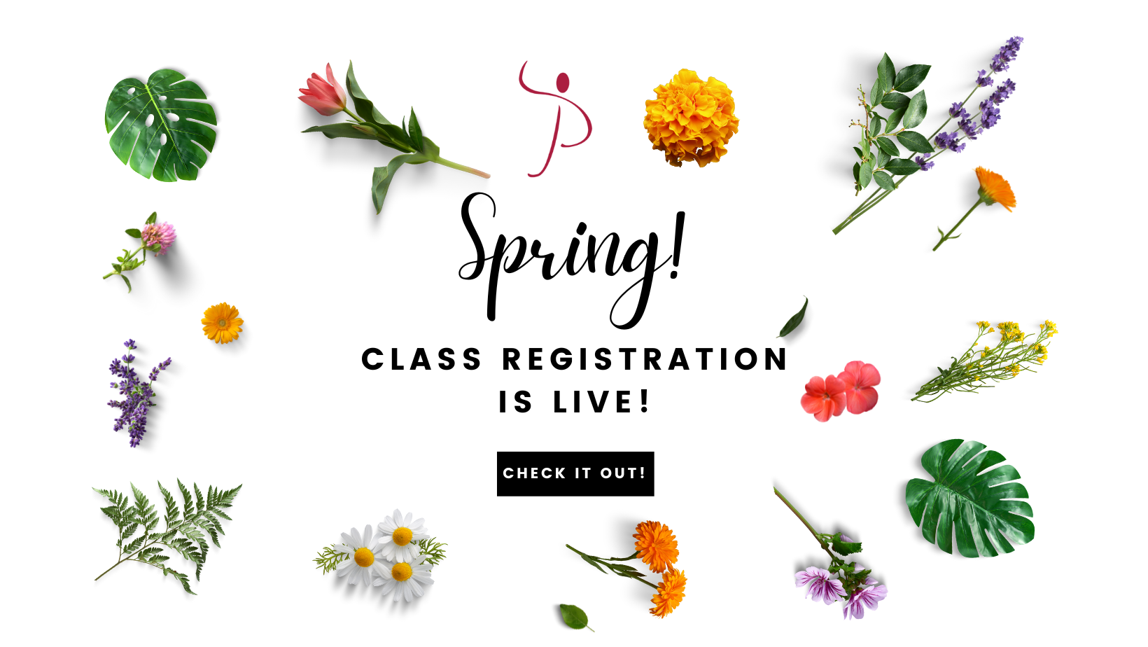 Spring Class Registration Popovsky Performing Arts Studio